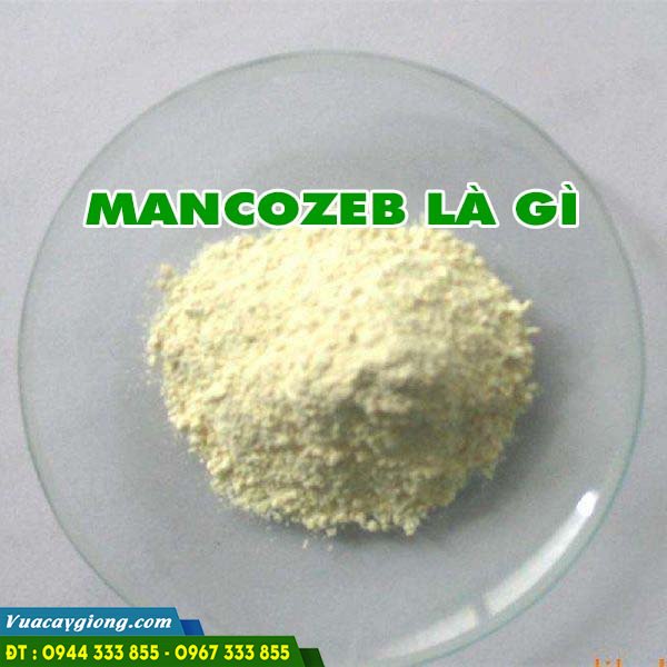 Mancozeb là gì? Công dụng của đối với cây trồng?