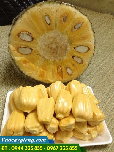 qua_mit_trai_dai_malaysia