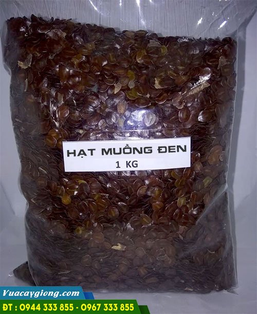 hat_giong_muong_den_h1